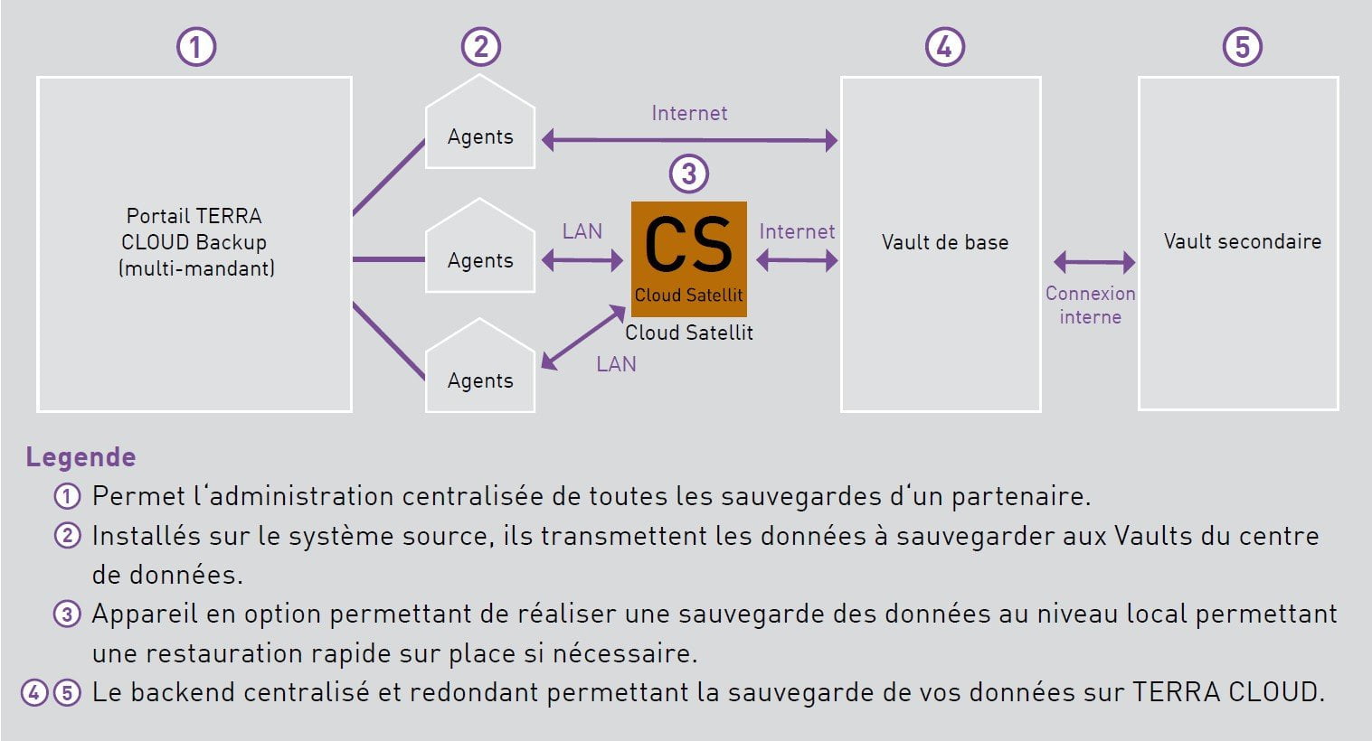 Schema Terra Backup